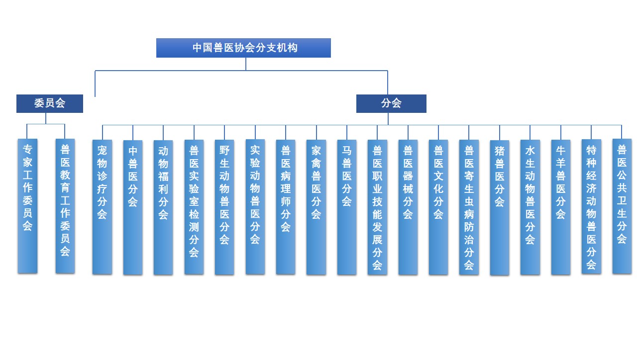 分支机构组织架构.jpg