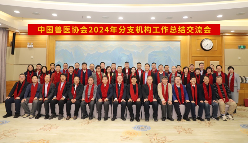 图片1。1.jpg