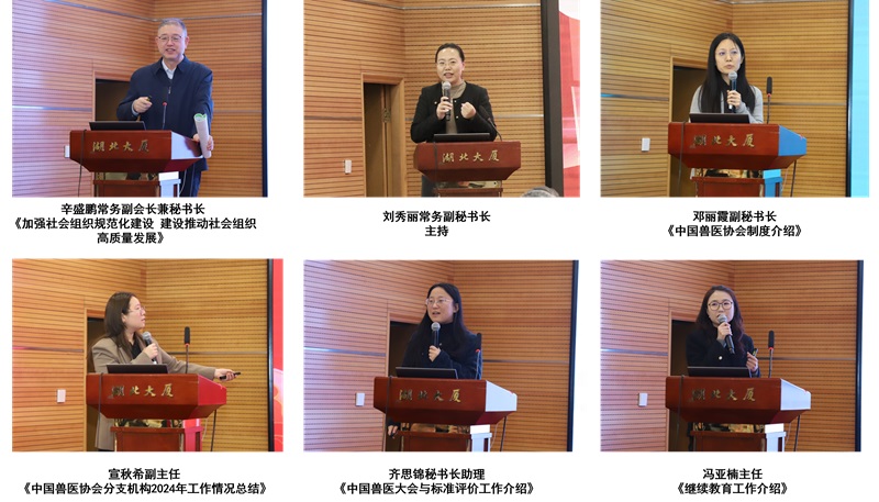 图片2。1.jpg