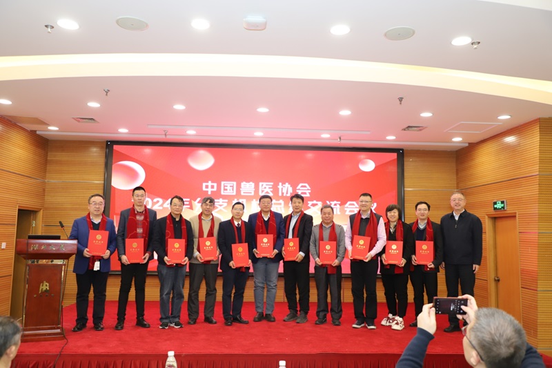 图片3。1.jpg