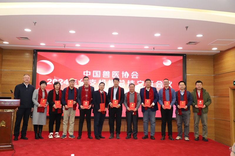图片4。1.jpg