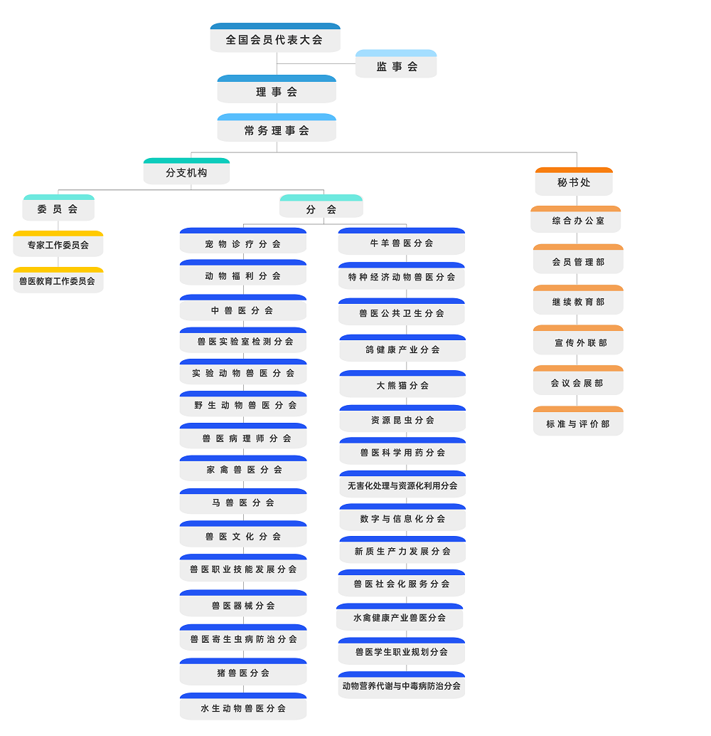 协会组织架构-中文 (2).png