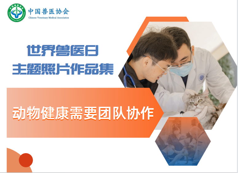 微信图片_20250609105459.png