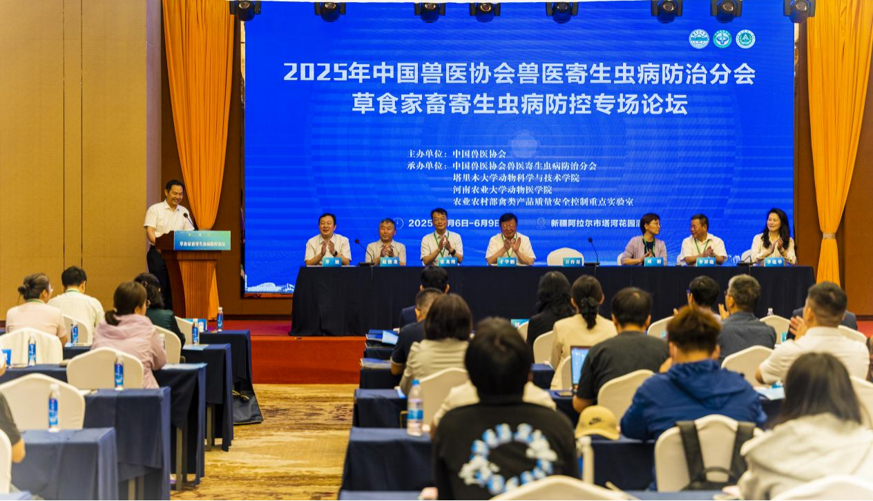 图片10.png