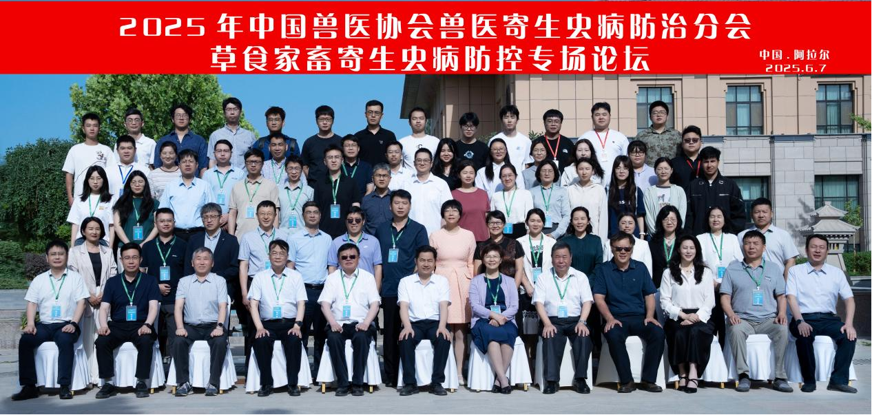 图片12.png
