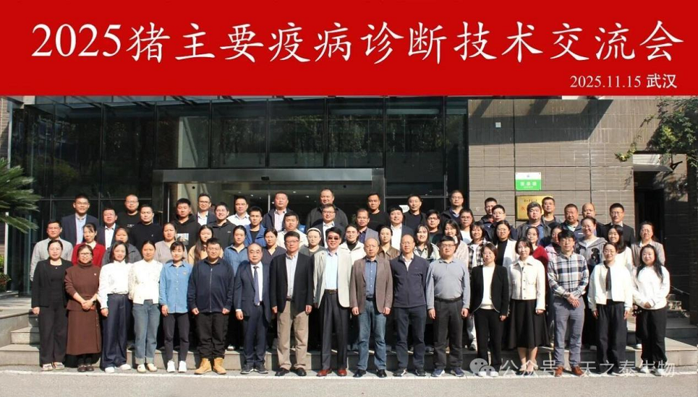 1764127681263827.png 图34.png