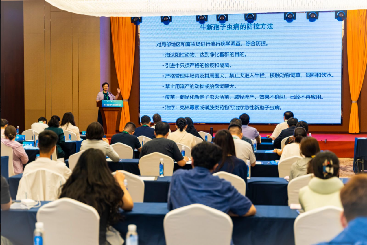 图片11.png