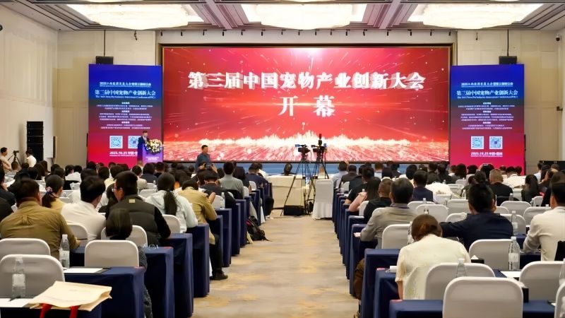 1761633522773371.jpg 2(1).jpg