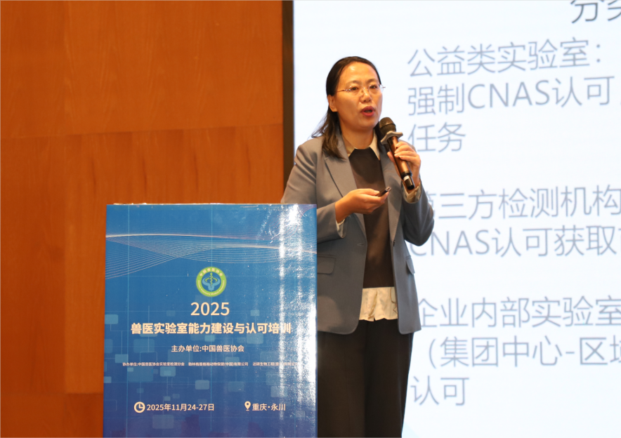 1765176801411748.png 1765176801411748.png