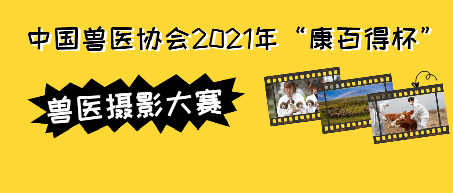 副本_手机摄影公众号首图.jpg