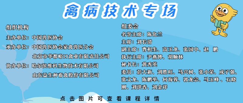 禽病技术专场.png