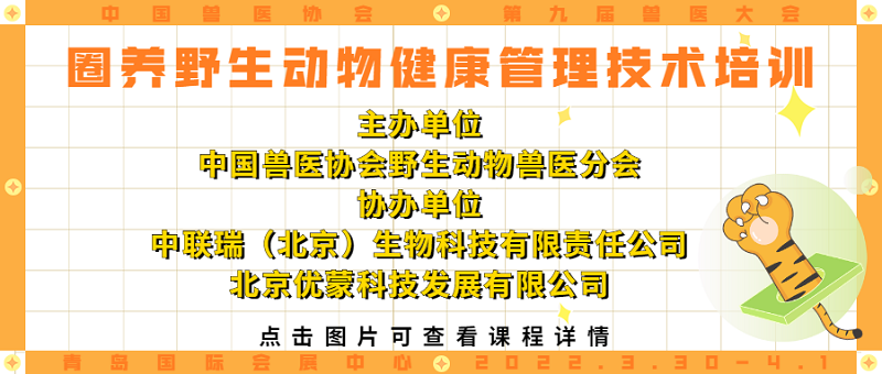 野生动物专场.png