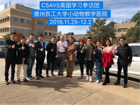 图片9.png 图片9.png