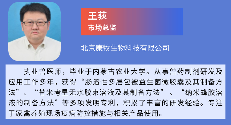 稿定设计-11.png